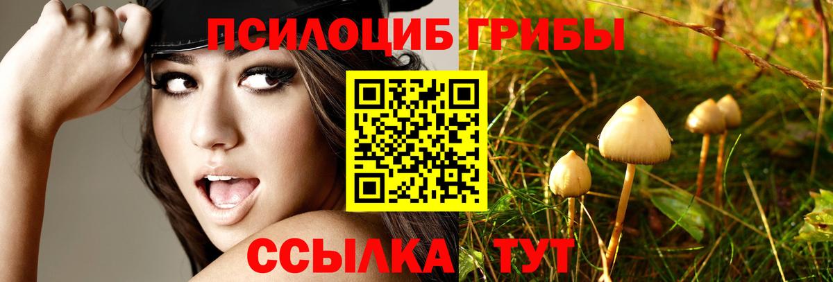 Псилоцибиновые грибы Psilocybine cubensis  Вход с VPN  Минусинск  Галлюциногенные грибы Psilocybe 